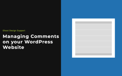 Managing Comments on your WordPress Website